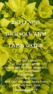 Replenish your soul